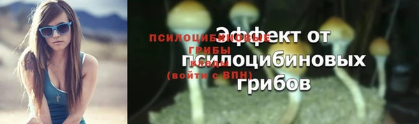 jwh Белокуриха