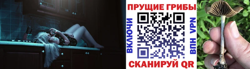 Псилоцибиновые грибы Magic Shrooms  Дальнегорск 