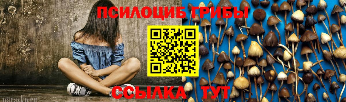 Галлюциногенные грибы Cubensis  Вход с VPN  Дальнегорск  Галлюциногенные грибы GOLDEN TEACHER 