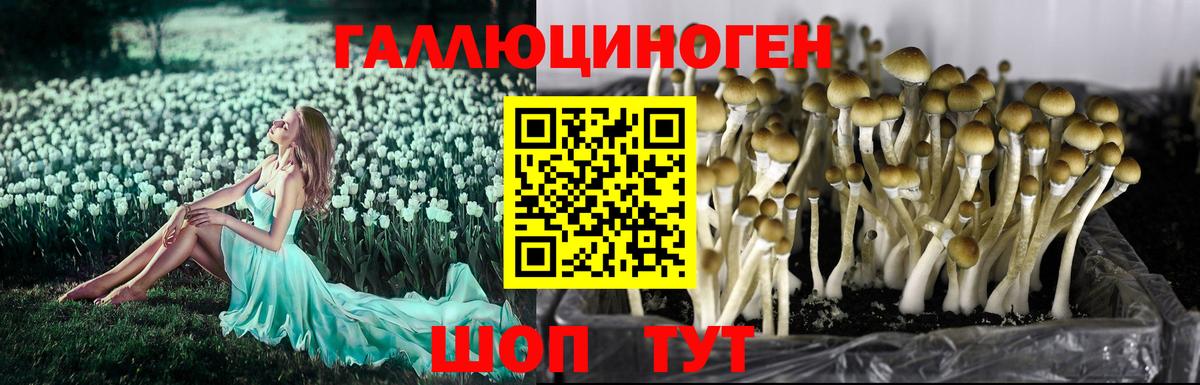 Галлюциногенные грибы MAGIC MUSHROOMS Дальнегорск